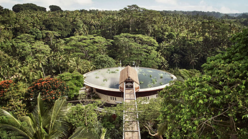 Sky-Forest-Resort-and-Park-Bali