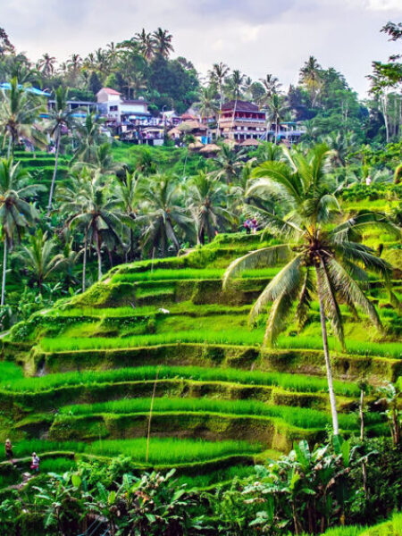 The-Resort-with-the-Best-Views-in-Bali