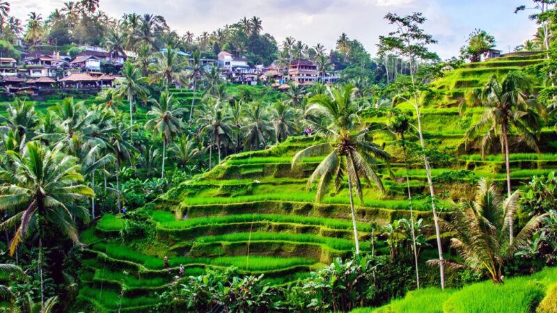 The-Resort-with-the-Best-Views-in-Bali